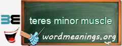 WordMeaning blackboard for teres minor muscle